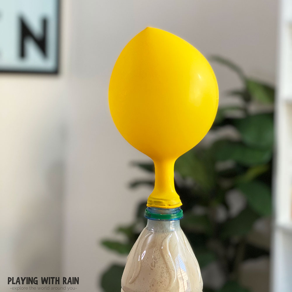 Yeast in a bottle inflates a balloon
