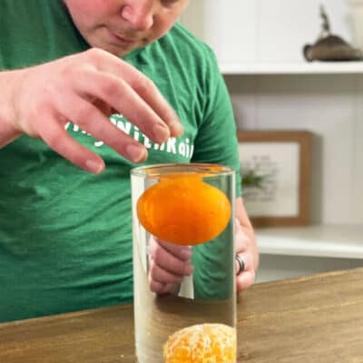 Floating Orange Experiment Story