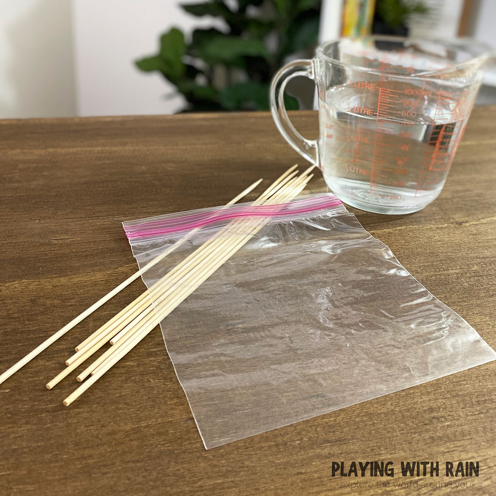 Skewers, water, and a bag for materials