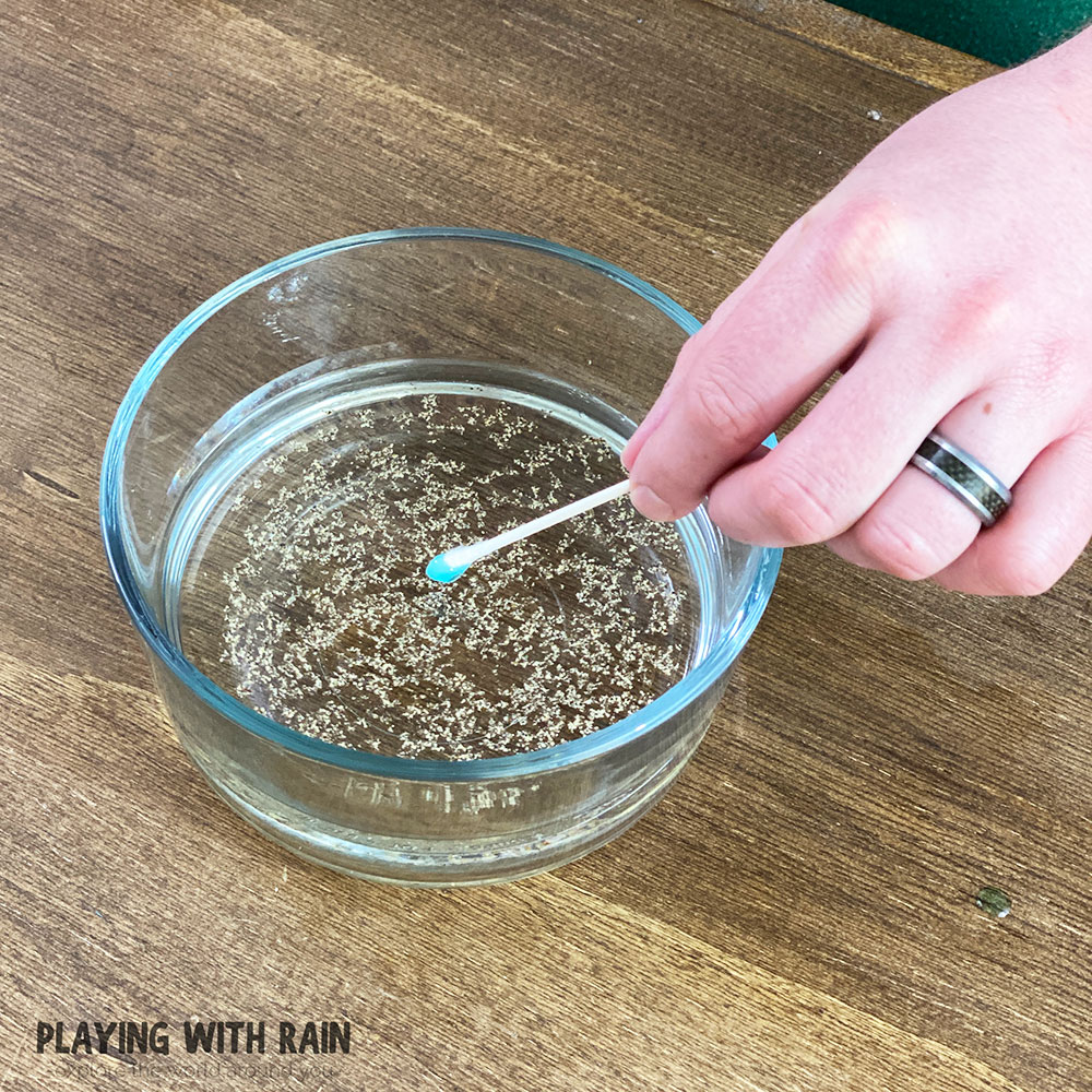 Touch the cotton swab to the center of the water