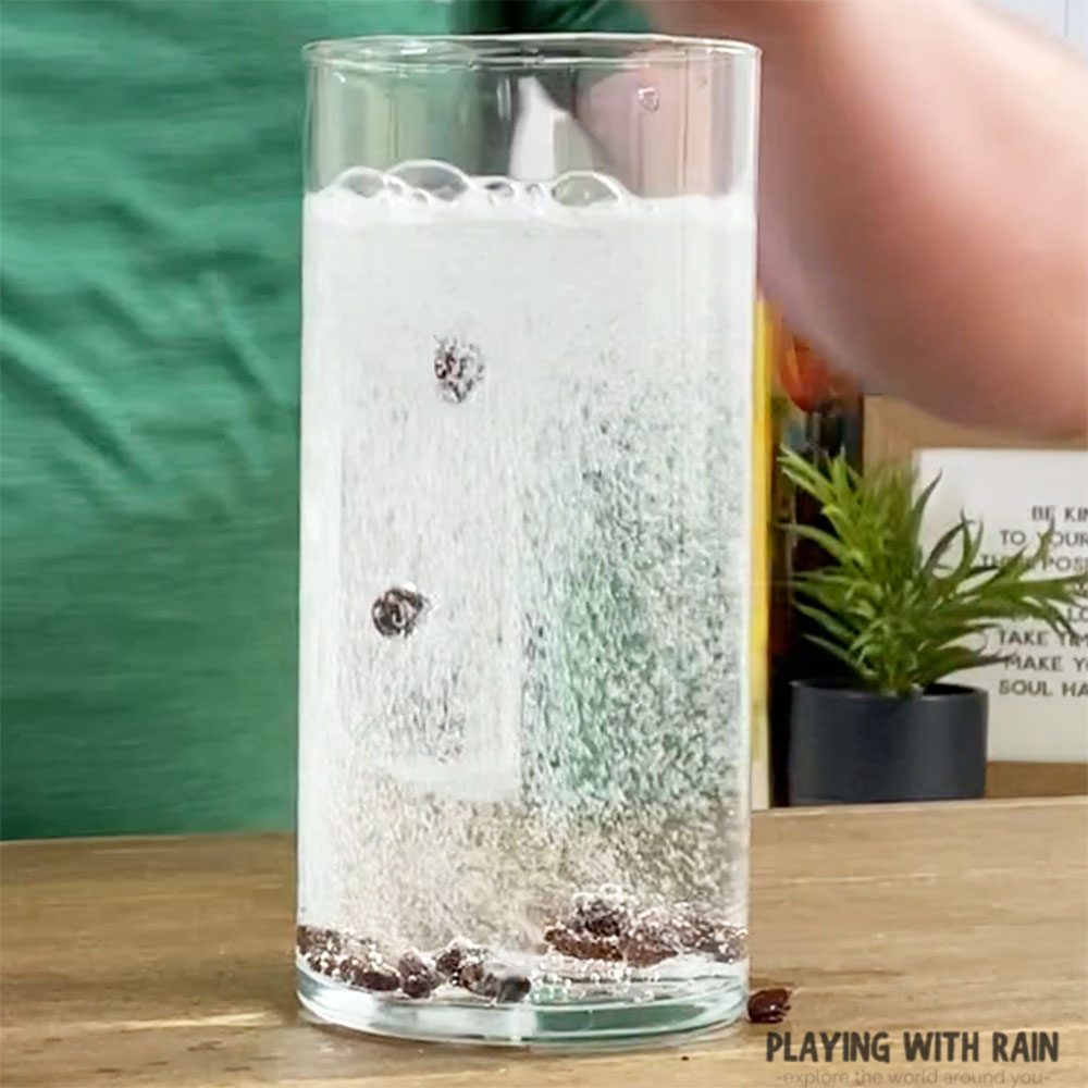 Carbon Dioxide bubbles make raisins float