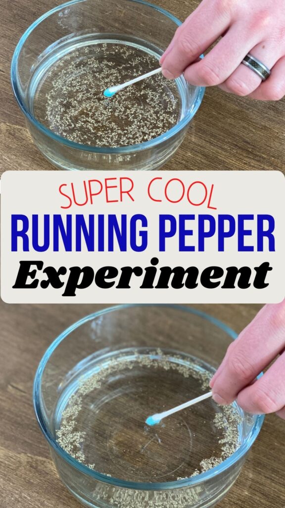 Soap and pepper science experiment