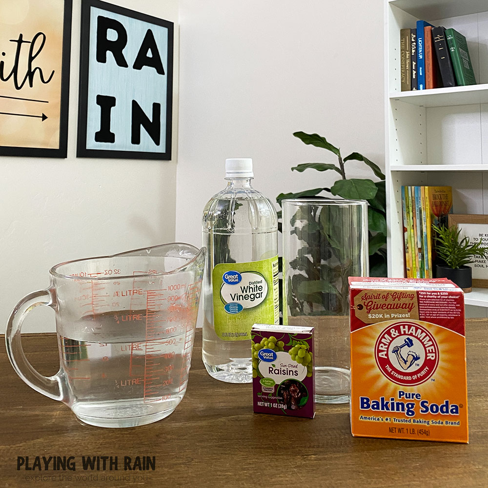 Make raisins float with a few household supplies
