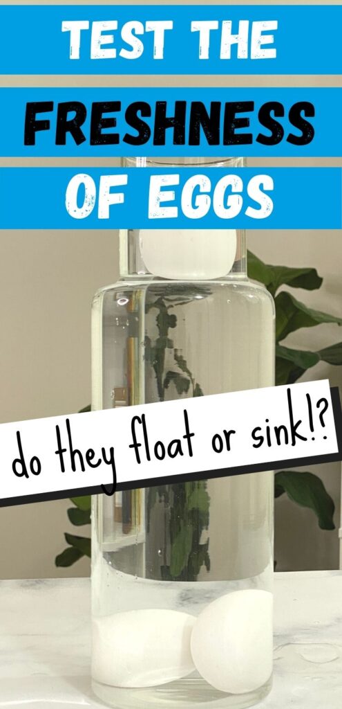 Floating test freshness by eggs for How to