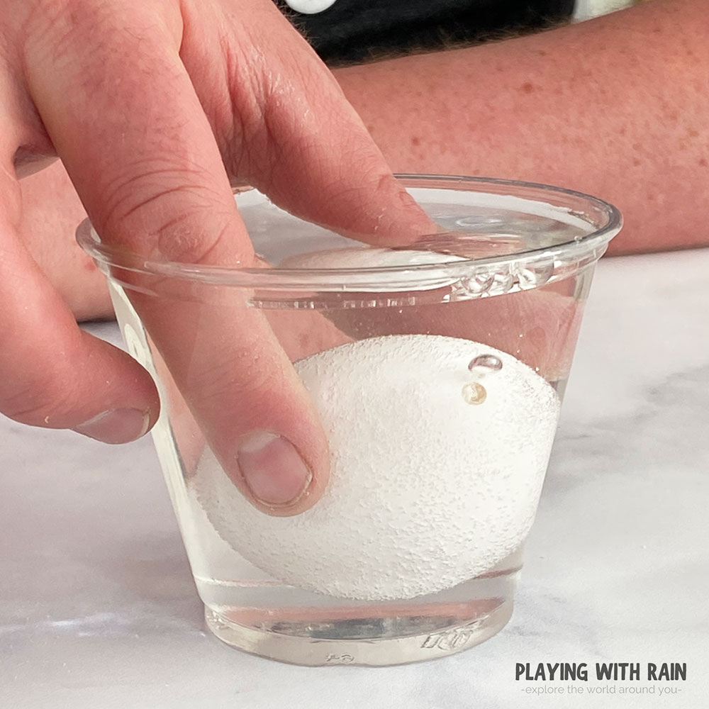 Bubbles forming on an eggshell in vinegar