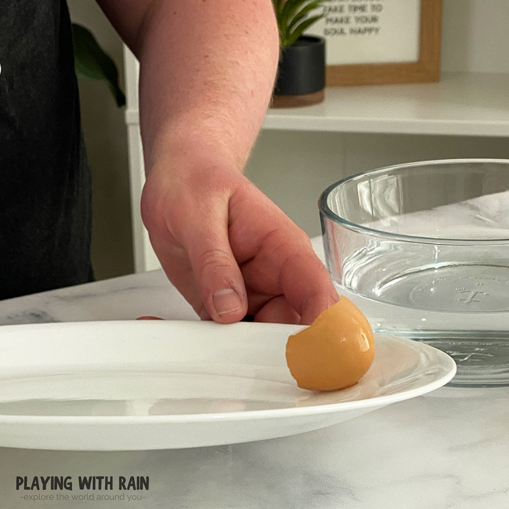 Place the wet eggshell onto a plate