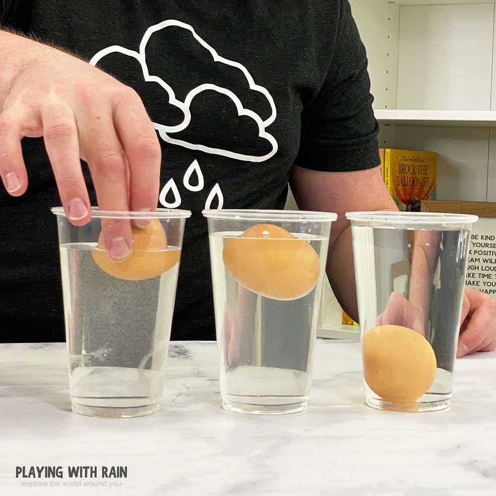 Place an egg in the diluted saltwater