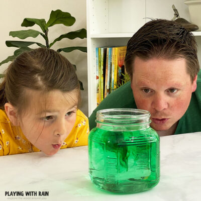 Water and food coloring make a hurricane